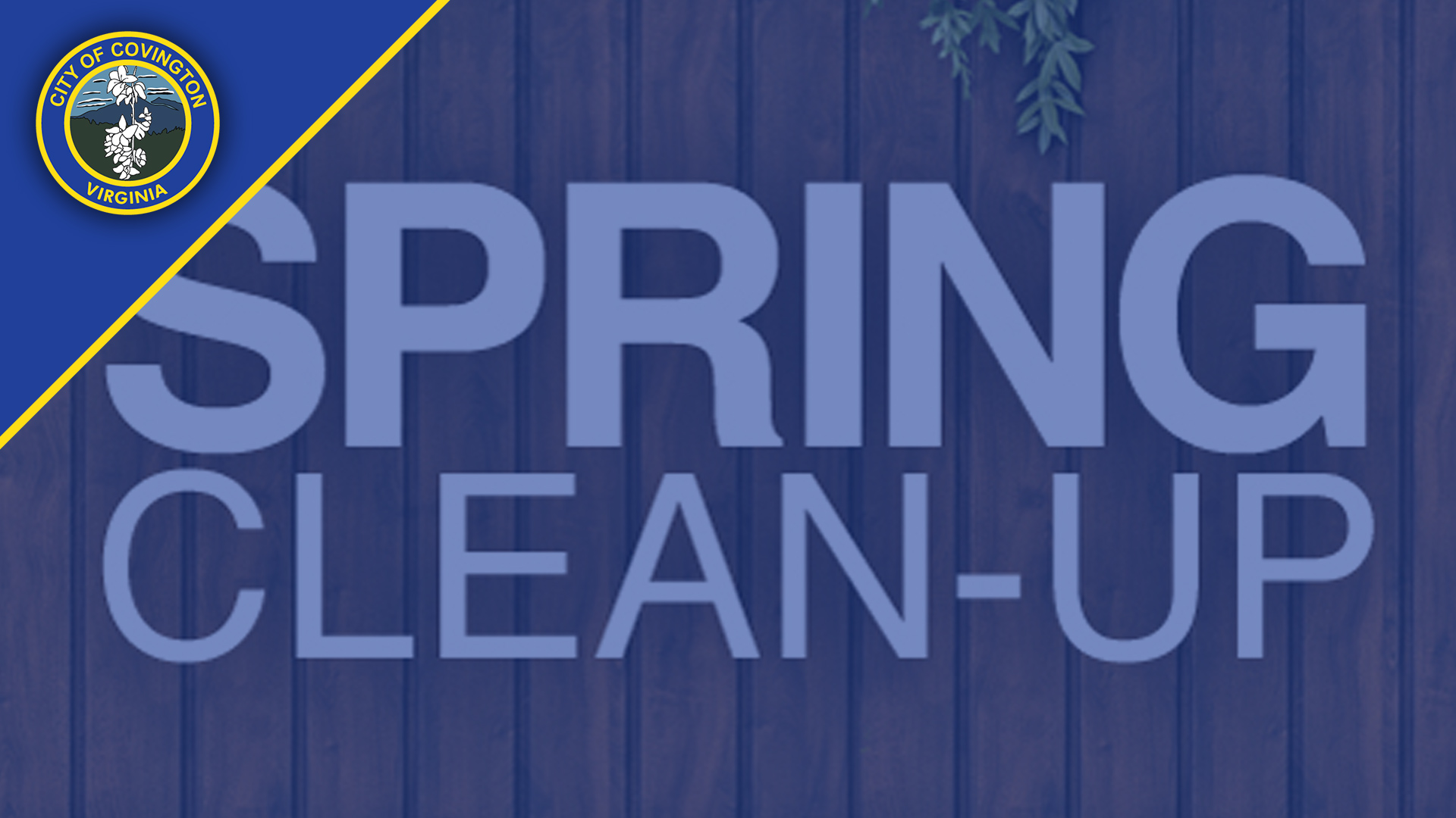 SpringCleanup